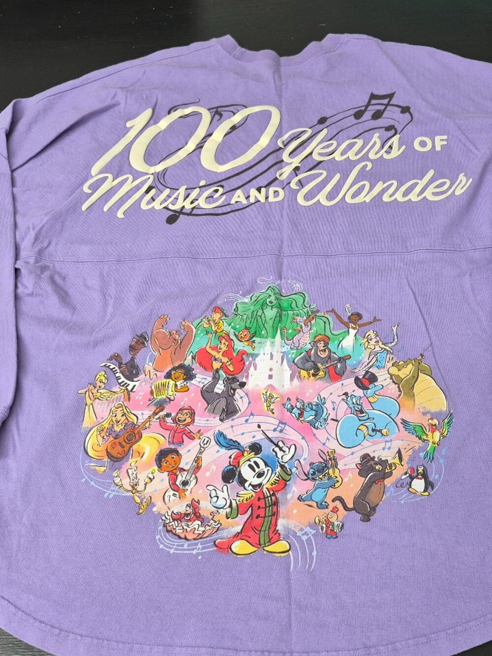 Walt Disney Parks 100 Years Of Music And Wonder Spirit Jersey